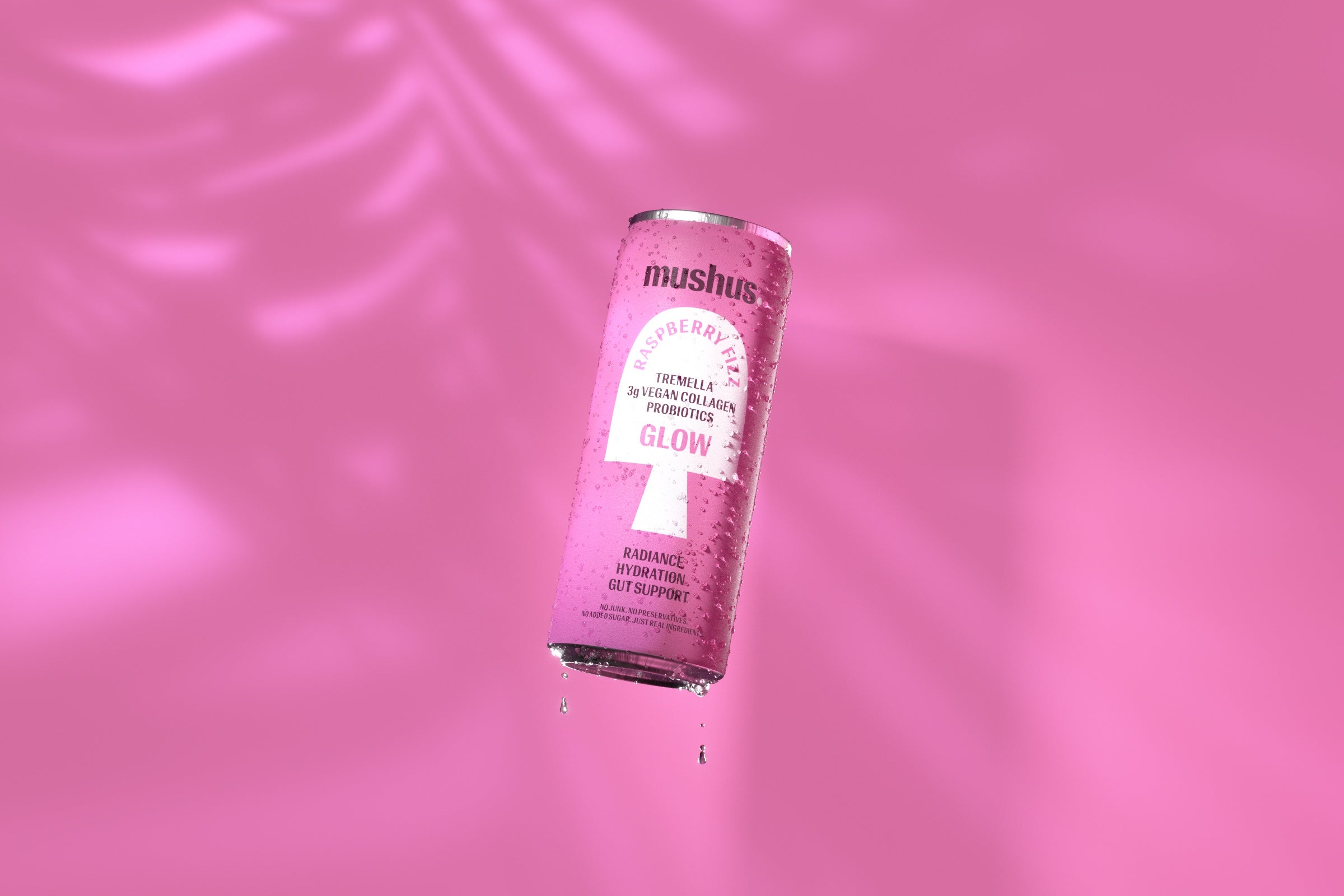 Raspberry Fizz